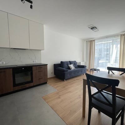 Alquiler de un luminoso apartamento de 2 habitaciones, 40 m², Prądnik Biały, Cracovia, Polonia